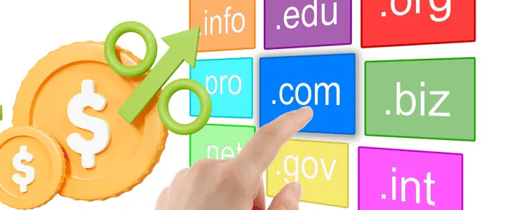 How to Evaluate a Domain Name’s Value